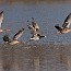 thumbs/IMG_2946.jpg